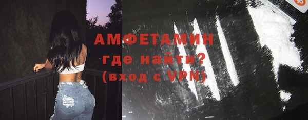 шишки Каменка