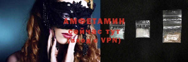 шишки Каменка