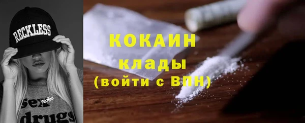 шишки Каменка