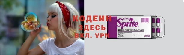 шишки Каменка