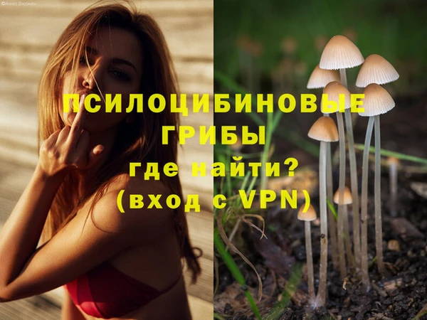 эйфоретик Касимов
