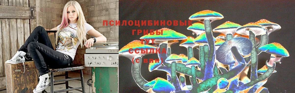 меф Каменногорск